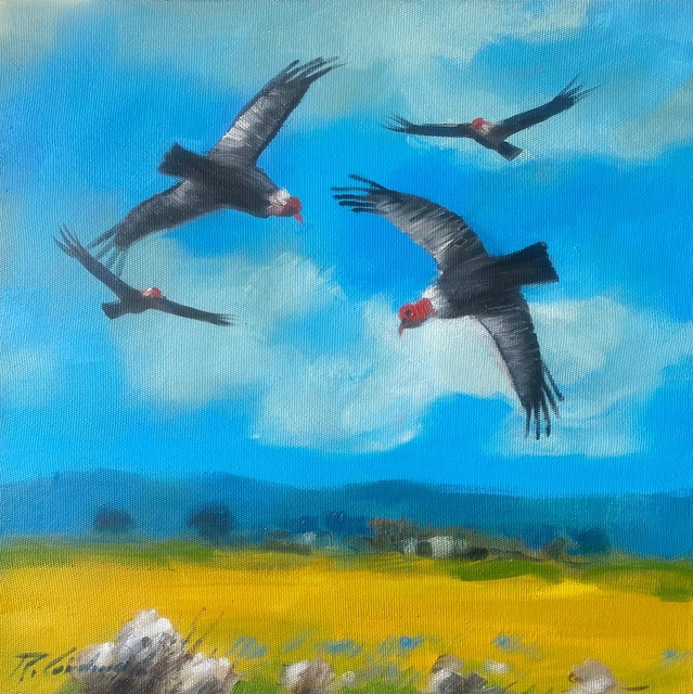 Comarca del Cóndor en Azul